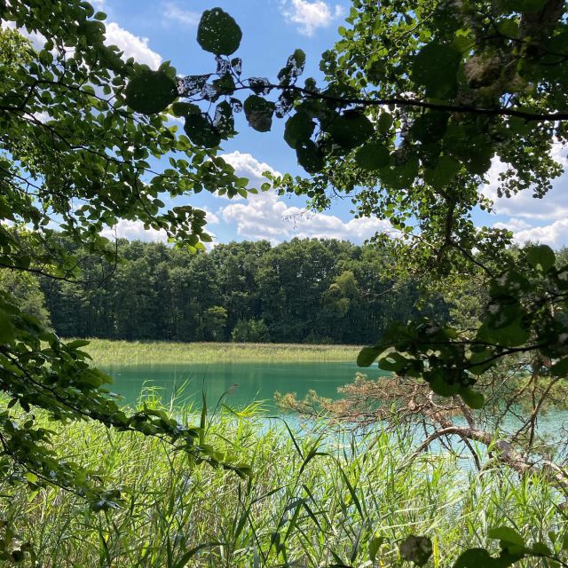 Hier gibt es viele schöne Seen, um sich abzukühlen! 

#urlaubinbrandenburg ##brandenburgischeseenplatte #rheinsberg #ferienlandluhme #kühlesnass #abkühlung #schwimmsee