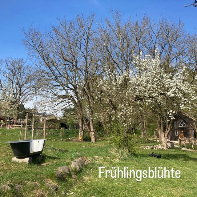 Raus aufs Land, das frische Grün, das Vogelgezwitscher und die Blütenpracht genießen.
 

#naturerleben #rausausderstadtreinindienatur #urlaubmitfamilieundfreunden #urlaubmitkids #rausausland #brandenburgerseenplatte